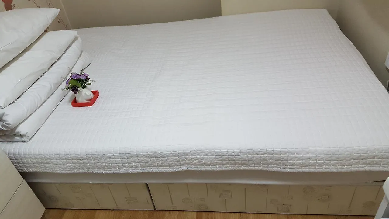 סיאול Vision Guesthouse בית הארחה